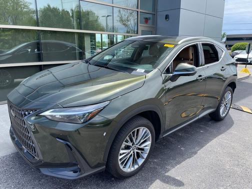 Nori Green Pearl 2025 Lexus NX 350 350 Premium