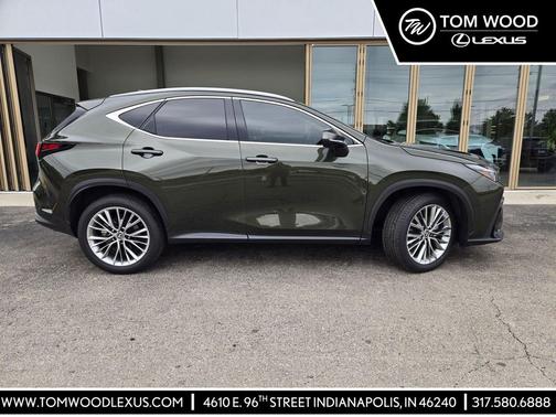 Nori Green Pearl 2025 Lexus NX 350 350 Premium