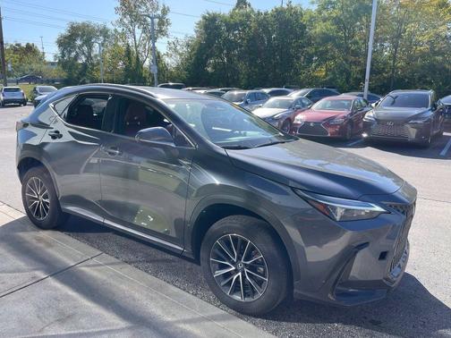 Cloudburst Gray 2024 Lexus NX 350h Luxury