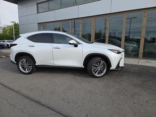 Eminent White Pearl 2025 Lexus NX 350 350 Luxury