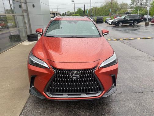 Cadmium Orange 2024 Lexus NX 250 Premium