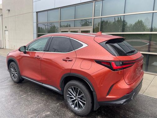 Cadmium Orange 2024 Lexus NX 250 Premium