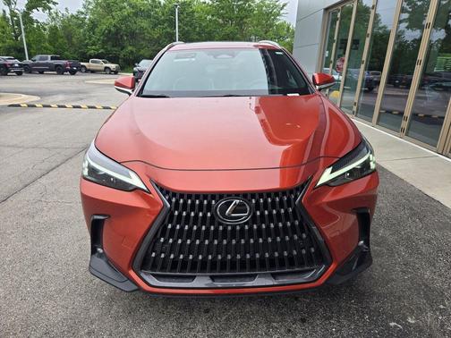 Cadmium Orange 2024 Lexus NX 250 Premium