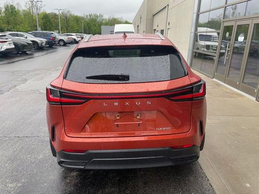 Cadmium Orange 2024 Lexus NX 250 Premium