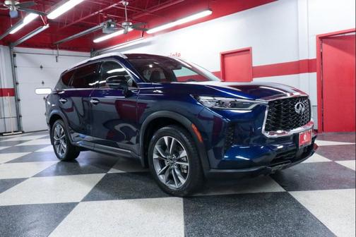 Grand Blue 2023 INFINITI QX60 Luxe