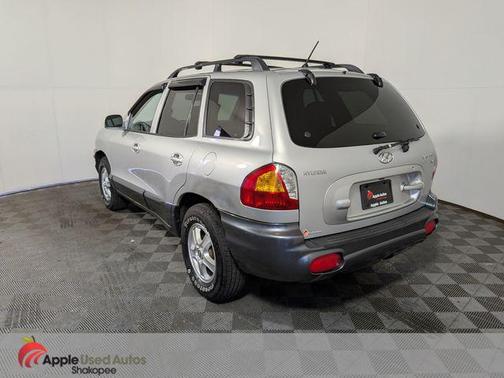 Pewter/Cool Gray Cladding 2004 Hyundai SANTA FE GLS