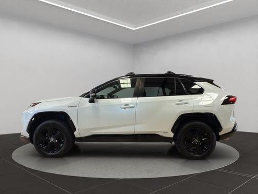 2019 Toyota RAV4 Hybrid SE