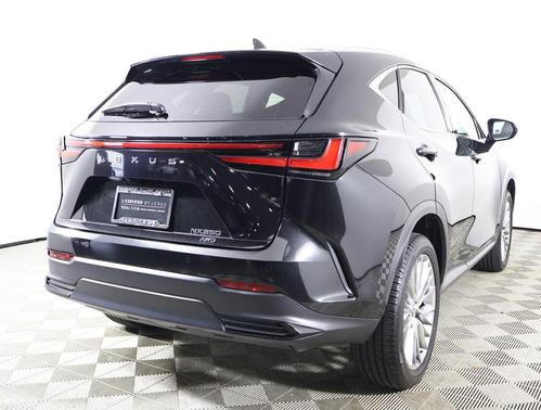 2025 Lexus NX 350 Premium