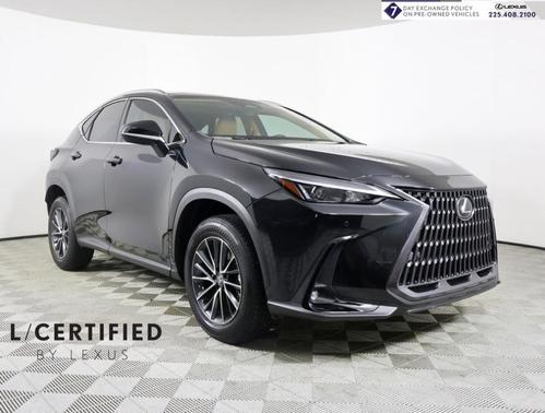 2025 Lexus NX 250 Premium