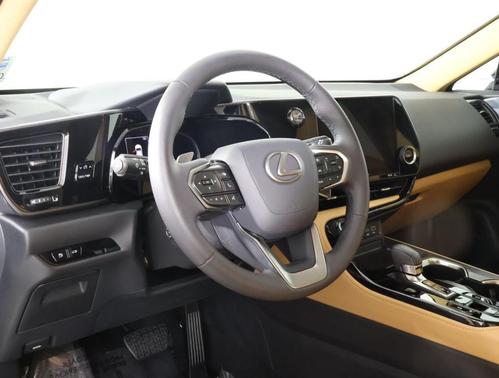 2025 Lexus NX 250 Premium