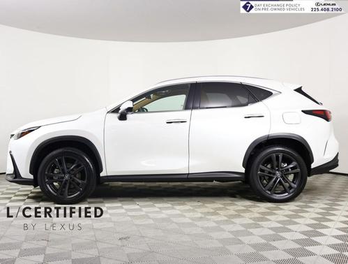 2024 Lexus NX 450h+ Luxury