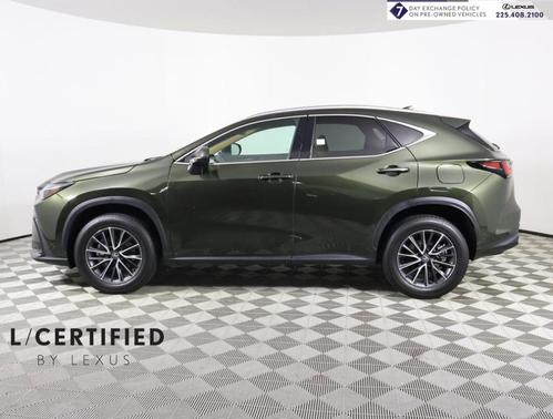 2024 Lexus NX 250 Premium