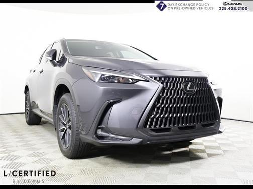 Cloudburst Gray 2025 Lexus NX 250 Premium