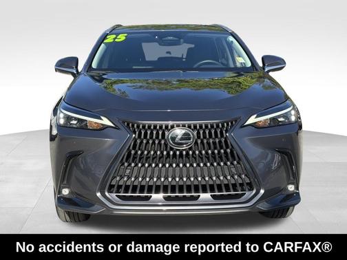 2025 Lexus NX 250 Base