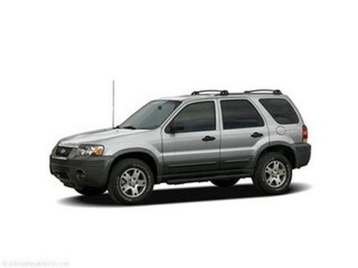 Silver Metallic Clearcoat 2005 Ford Escape XLT