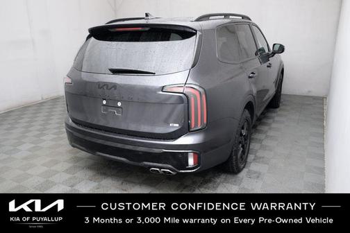 Panthera Metal 2025 Kia Telluride SX Prestige X-Pro