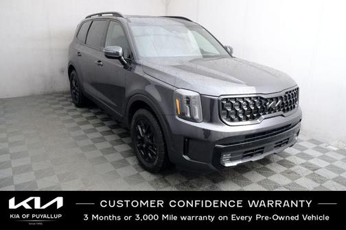 Panthera Metal 2025 Kia Telluride SX Prestige X-Pro
