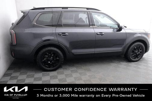 Panthera Metal 2025 Kia Telluride SX Prestige X-Pro