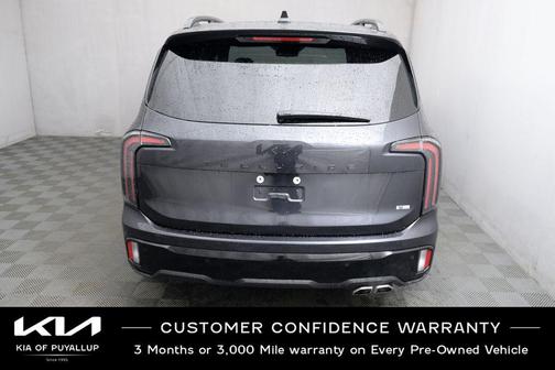 Panthera Metal 2025 Kia Telluride SX Prestige X-Pro