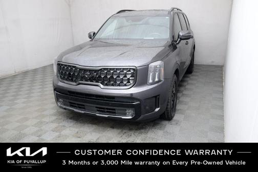 Panthera Metal 2025 Kia Telluride SX Prestige X-Pro