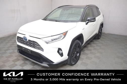 2019 Toyota RAV4 Hybrid SE