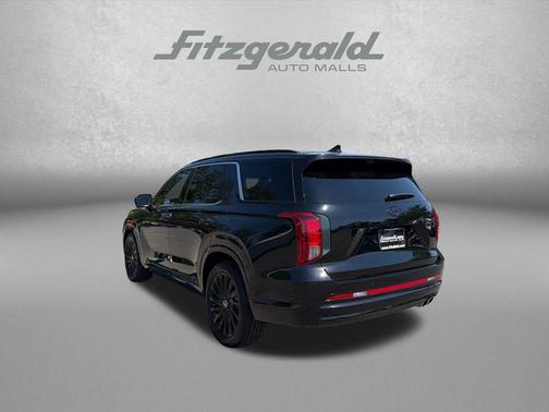 Abyss Black Pearl 2025 Hyundai PALISADE Calligraphy Night Edition