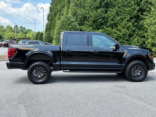 Agate Black Metallic 2025 Ford F-150 Tremor