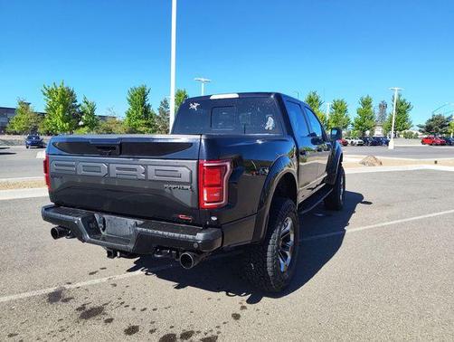 Agate Black Metallic 2020 Ford F-150 Raptor
