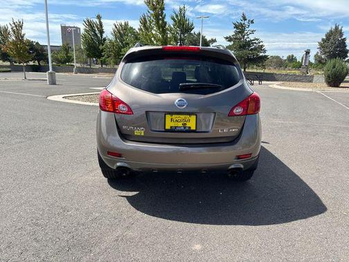 Tinted Bronze Metallic 2010 Nissan Murano LE