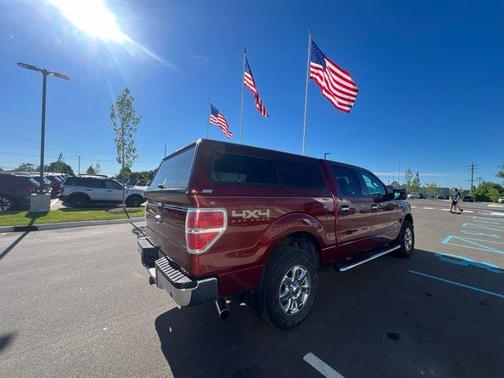 Bronze 2014 Ford F-150 XLT