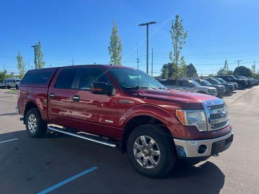 Bronze 2014 Ford F-150 XLT