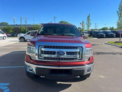 Bronze 2014 Ford F-150 XLT