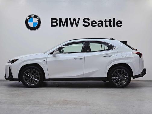 2025 Lexus UX 300h F SPORT Design