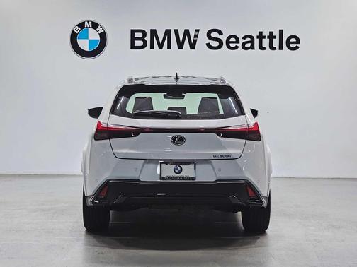 2025 Lexus UX 300h F SPORT Design