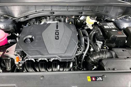 Panthera Metal 2026 Kia Sorento LX