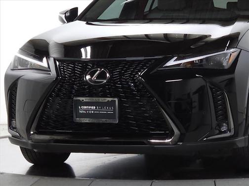 2025 Lexus UX 300h Premium