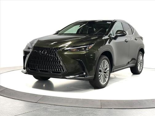 2025 Lexus NX 350 Premium