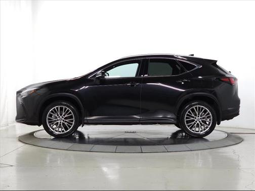 2025 Lexus NX 350h Premium