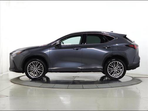 2025 Lexus NX 350h Premium
