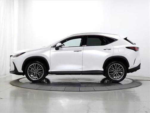 2023 Lexus NX 350 Luxury