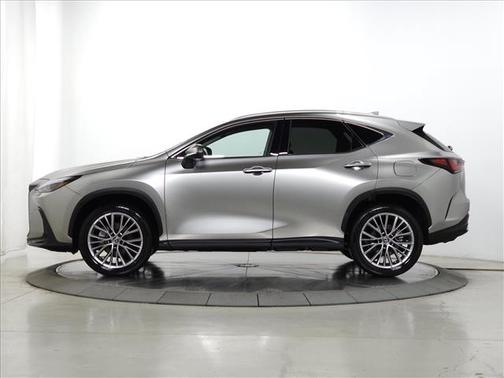 2025 Lexus NX 350h Premium