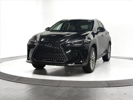 2025 Lexus NX 350h Luxury