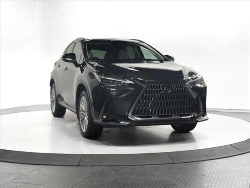 2025 Lexus NX 350h Luxury