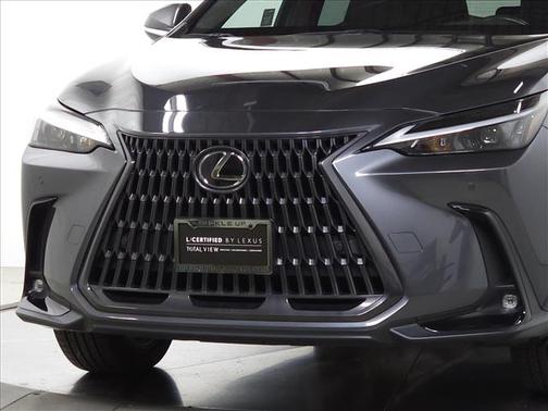 Cloudburst Gray 2023 Lexus NX 350 Premium