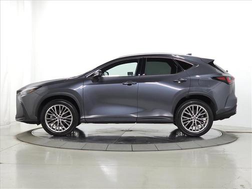Cloudburst Gray 2023 Lexus NX 350 Premium