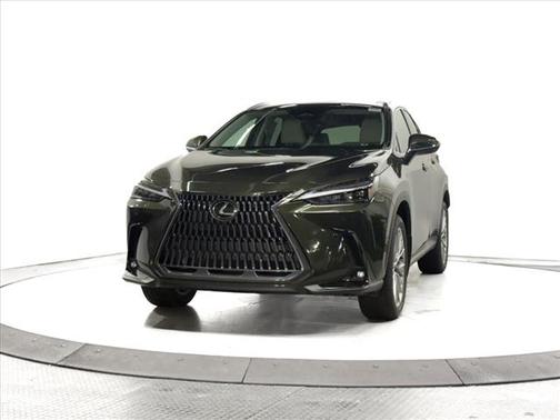 2025 Lexus NX 350 Luxury