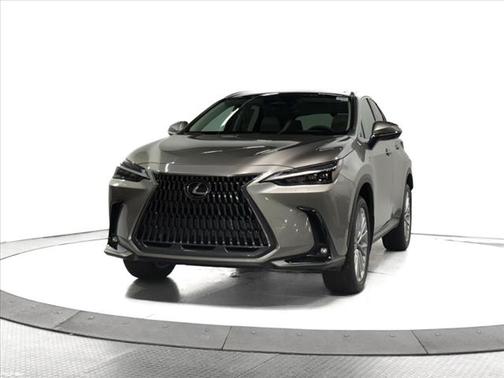2025 Lexus NX 350 Luxury