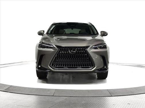 2025 Lexus NX 350 Luxury