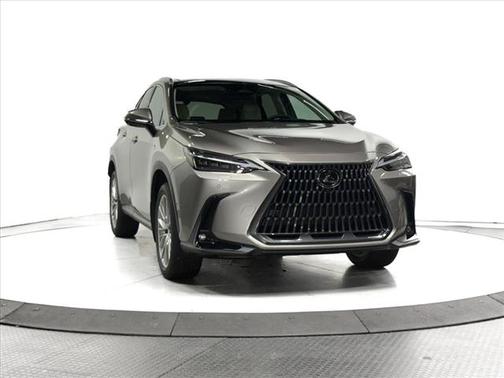 2025 Lexus NX 350 Luxury