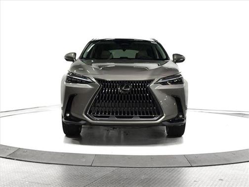 2025 Lexus NX 350 Luxury
